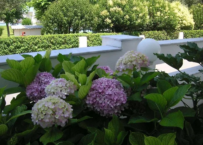 Danae Limenas (Thasos)